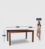 Daisy Solid Wood 6 Seater Dining Set in Wenge Finish