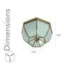Dakota Brass & Glass Ceiling Light