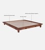 Dakovo Sheesham Wood King Size Platform Bed In Honey Oak Finish