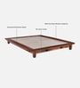 Dakovo Sheesham Wood Queen Size Platform Bed In Honey Oak Finish