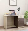 Dallas Workstation In Chocolate & Sandy Sawline Finish With File Cabinate And Drawers