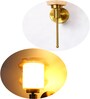 Damru Glass Designer Wall Lamp Amber Glass