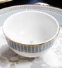 Dankotuwa Grey Iris 33 Pc Dinner Set