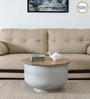 Danzi Metallic Coffee Table In White And Natural Finish With Storage