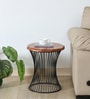 Danzi Metallic End Table In Black And Natural Finish