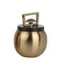 Darius- Small Gold Aluminium Storage Container