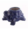 Dark Blue Ceramic Turtle Shape Planter
