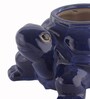 Dark Blue Ceramic Turtle Shape Planter