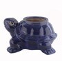 Dark Blue Ceramic Turtle Shape Planter