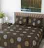 Dark Brown Floral 400 TC Cotton Super King Size Bedsheet with 2 Pilllow covers Essential Series Collection