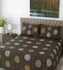Dark Brown Floral 400 TC Cotton Super King Size Bedsheet with 2 Pilllow covers Essential Series Collection