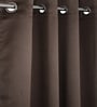 Dark Brown Polyester Solid 7ft Blackout Eyelet Door Curtain