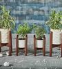 Dark Finish Minimalist Wooden Planter Stand with White Plain Planter Pot