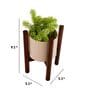 Dark Finish Minimalist Wooden Planter Stand with White Plain Planter Pot