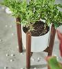 Dark Finish Minimalist Wooden Planter Stand with White Plain Planter Pot