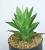Polyester Dark Green Elegant Succulent With Metal Pot Artificial Plants