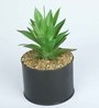 Polyester Dark Green Elegant Succulent With Metal Pot Artificial Plants