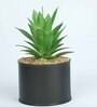 Polyester Dark Green Elegant Succulent With Metal Pot Artificial Plants