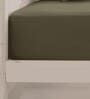 Bronze Solid 400 TC Cotton Satin King Sized Bed Sheets with 2 Pillow Covers