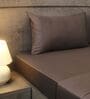 Dark Grey 400TC Solid Embroidery Superking Bedsheet with 2 Pillow Covers Dark Grey 400TC Solid Embroidery Superking Bedsheet with 2 Pillow Covers