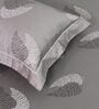 Dark Grey Floral 600TC Cotton Super King Sized Double Bedsheet with 2 Embroidery Pillow Covers