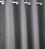 Dark Grey Polyester Solid 9ft Regular Eyelet Long Door Curtain