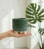 Dark Green Ceramic Indoor Planter with Drainage