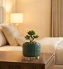 Dark Green Ceramic Indoor Planter with Drainage