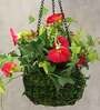 Dark-Pink Polyester Artificial Morning Glory Hanging Creeper Plant with Hanging Metal Stand