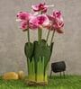 Dark-Pink Polyester Fabric Artificial Orchid Flower Bunch