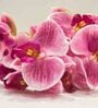 Dark-Pink Polyester Fabric Artificial Orchid Flower Bunch