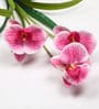 Pink Polyester Dark Stunning Orchid Artificial Flowers