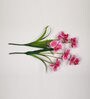 Pink Polyester Stunning Dark Orchid Artificial Flowers