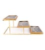 Darkbrown Mango wood & Aluminium 17 Inch Appetizer Platters