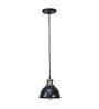 Ivan Darnar Black Metal Hanging Light
