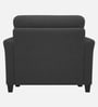 Daroo Velvet Fabric 1 Seater Sofa In Grey Colour