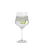 (Set Of 4) Cheers Copa Gin & Tonic Glass