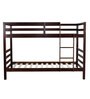 Dave Bunk Bed in Walnut Finish