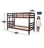 Dave Bunk Bed in Walnut Finish