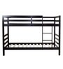 Dave Bunk Bed in Wenge Finish
