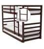 Dave Bunk Bed with Trundle in Walnut Finish