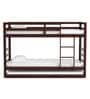 Dave Bunk Bed with Trundle in Walnut Finish