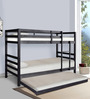 Dave Bunk Bed with Trundle in Wenge Finish