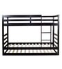Dave Bunk Bed with Trundle in Wenge Finish