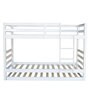 Dave Bunk Bed with Trundle in White Finish