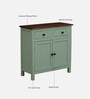 Davos Mango Wood 2 Door Cabinet In Light Green Colour