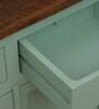 Davos Mango Wood 2 Door Cabinet In Light Green Colour
