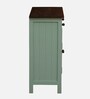 Davos Mango Wood 2 Door Cabinet In Light Green Colour