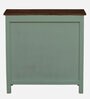 Davos Mango Wood 2 Door Cabinet In Light Green Colour