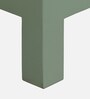 Davos Mango Wood 2 Door Cabinet In Light Green Colour